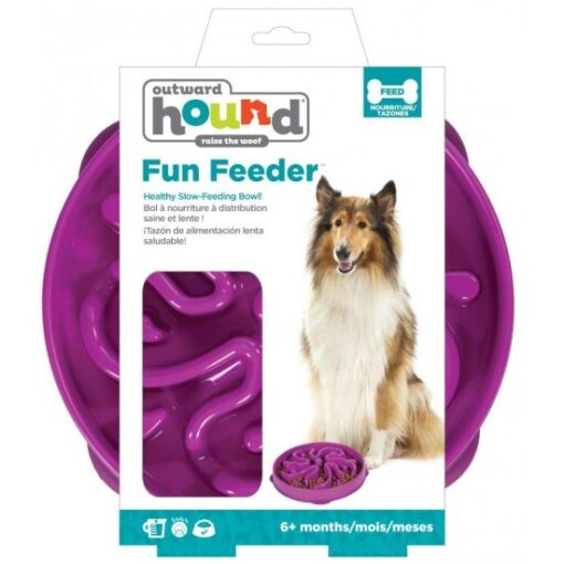 Slow Bowl Fun Feeder Large Violett